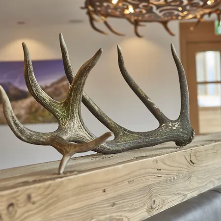 Berg- & Seeblick Pfefferbauer Appartamento *